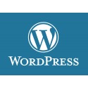 Pack 1000 comptes Wordpress.com